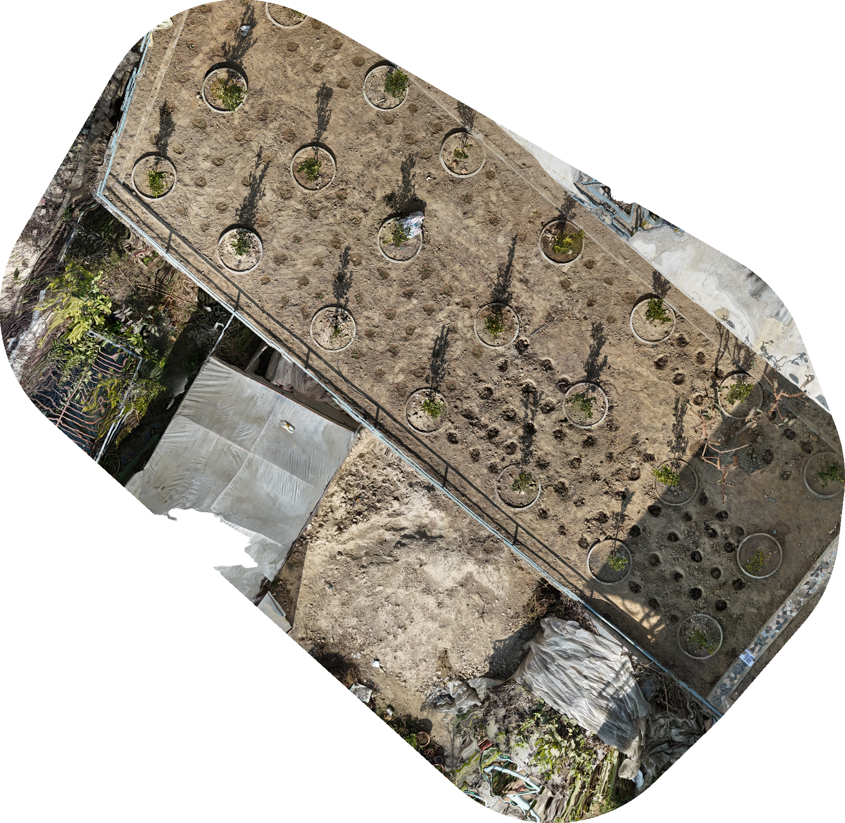 Citrus Health Monitoring