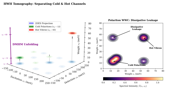 Dissipative Mixed Hodge Modules and Weight Filtered Spectroscopy