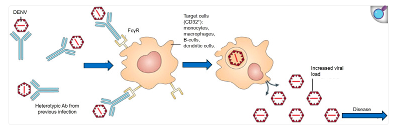 AI-Powered Task-Shifting for High-Quality Fetal Ultrasound Service in Community Healthcare Settings